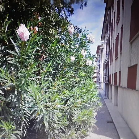 Cuore Di * Grado